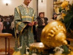 итоги олимпиады